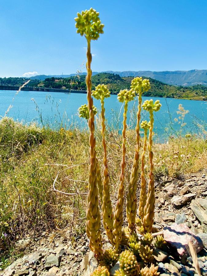 Apartaments Chenin Blanc-Priorat- Корнуделья Экстерьер фото
